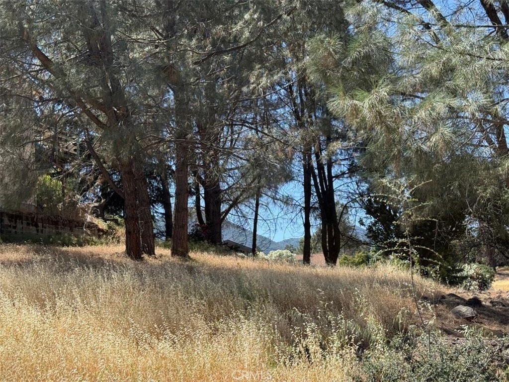 4638 Hawaina Way, Kelseyville, CA 95451 - photo 2
