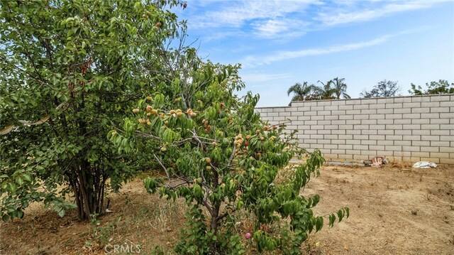 13067 Alexis Dr, Moreno Valley, CA 92553 - photo 30