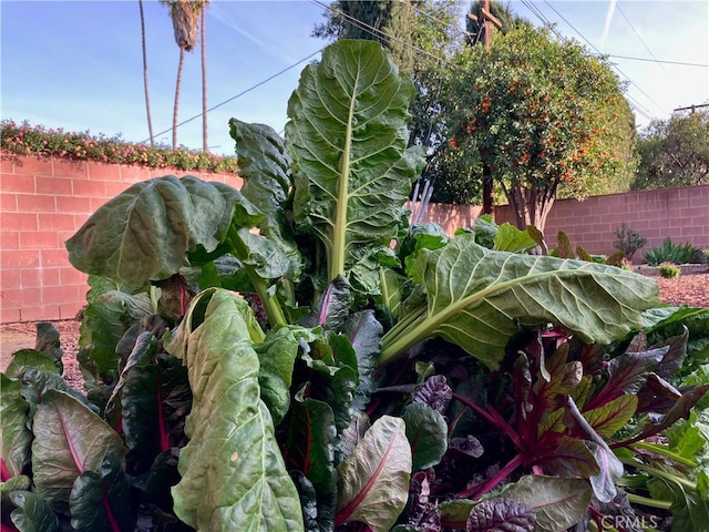 6914 Andasol Ave, Van Nuys, CA 91406 - exterior view
