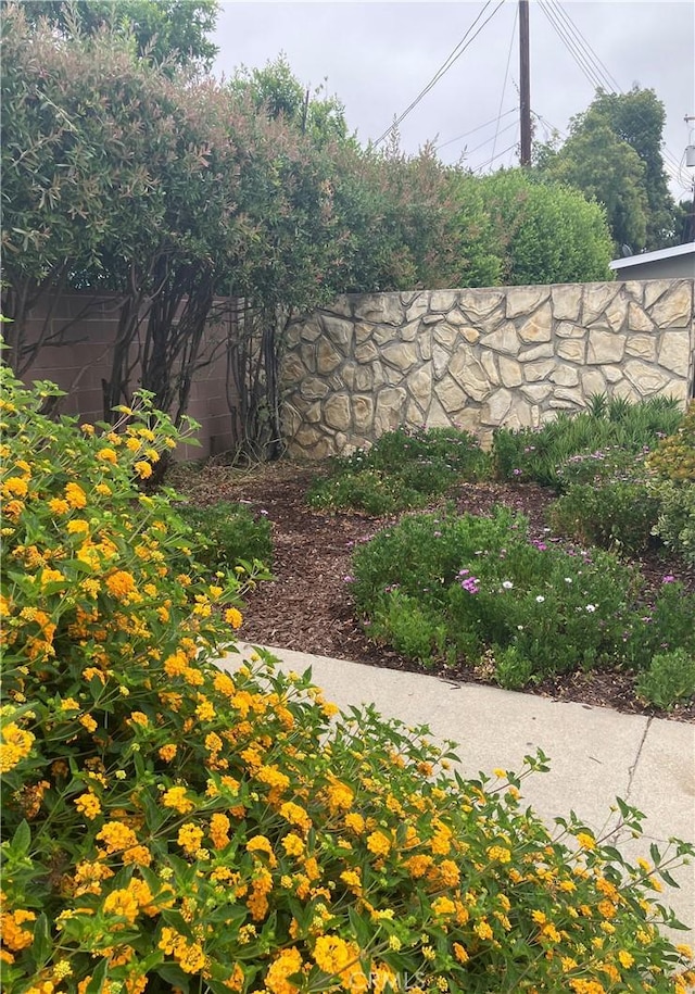 6914 Andasol Ave, Lake Balboa, CA 91406 - view of yard