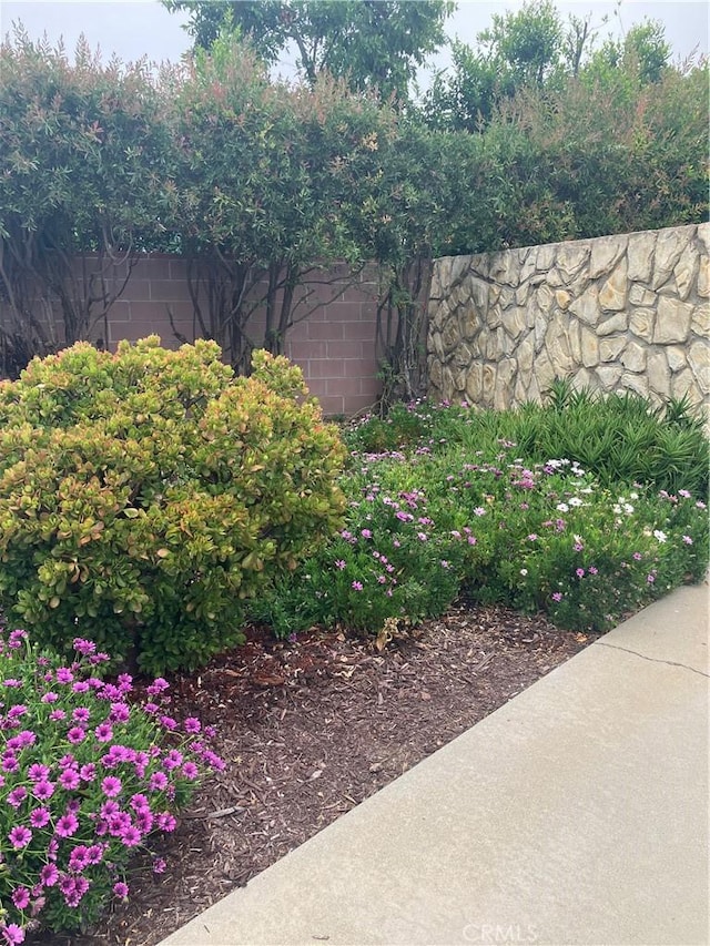 6914 Andasol Ave, Lake Balboa, CA 91406 - view of yard