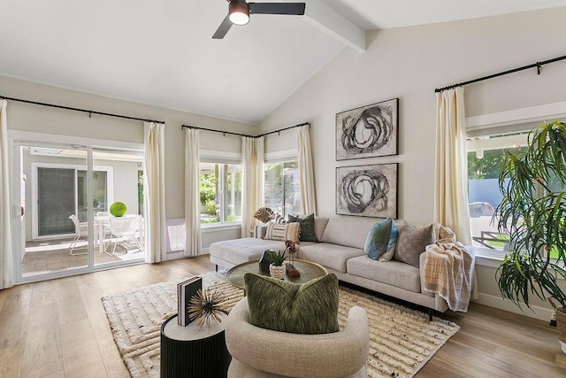 245 S Via Montanera, Anaheim Hills, CA 92807 - living area featuring plenty of natural light, ceiling fan, and light wood-style flooring