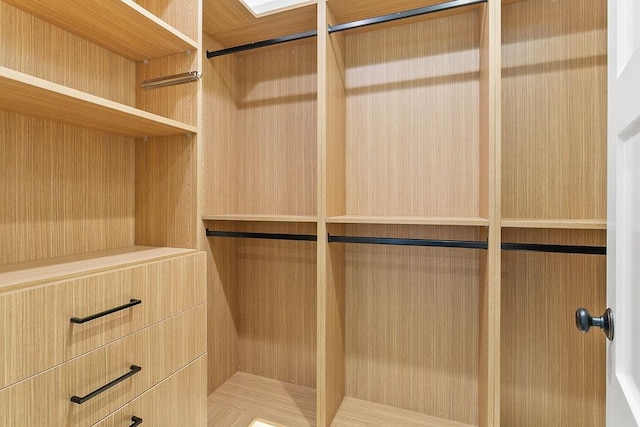 245 S Via Montanera, Anaheim Hills, CA 92807 - view of spacious closet