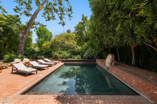 1241 S Oak Knoll Ave, Pasadena, CA 91106 - swimming pool featuring a patio and view of scattered trees