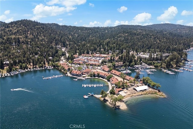 26251 Alpine Ln, Twin Peaks, CA 92391 - drone / aerial view of a forest and a water and mountain view