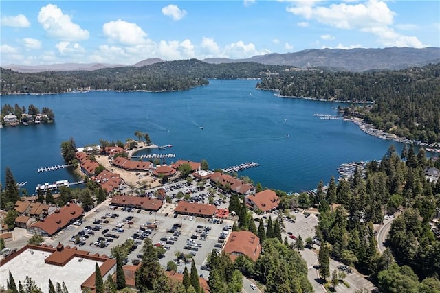 26251 Alpine Ln, Twin Peaks, CA 92391 - drone / aerial view of a water and mountain view and a heavily wooded area