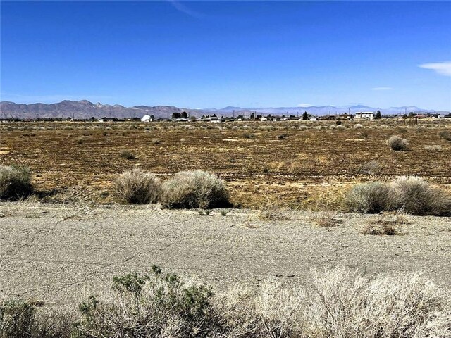 7841 Peach Ave, California City, CA 93505 - photo 3