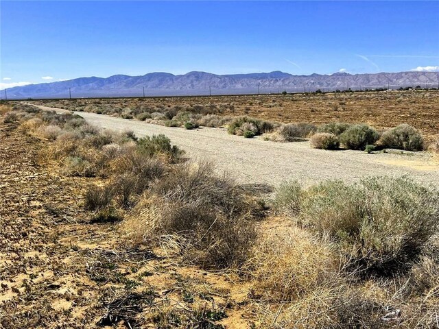 7841 Peach Ave, California City, CA 93505 - photo 4