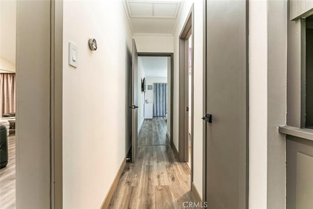 15409 Wyandotte St, Van Nuys, CA 91406 - photo 21