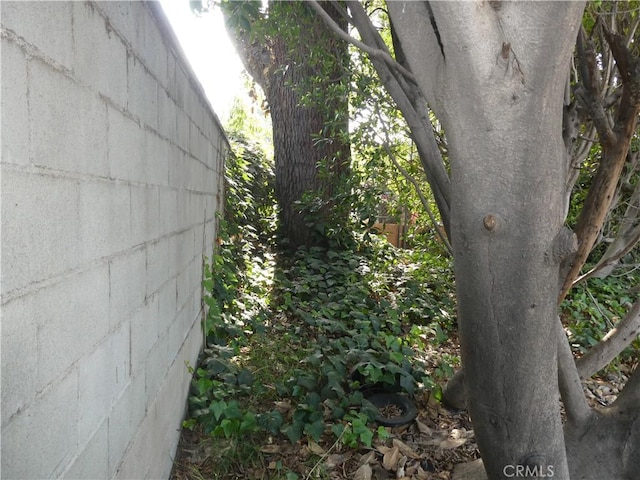 1532 Meadowbrook Rd, Altadena, CA 91001 - photo 17