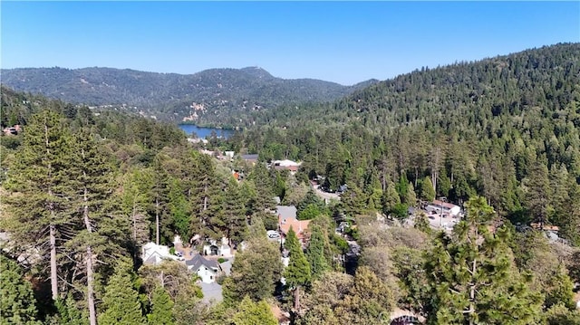 23690 Hillside Dr, Crestline, CA 92325 - photo 14