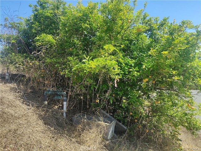 0 Indian View Dr, Oceanside, CA 92028