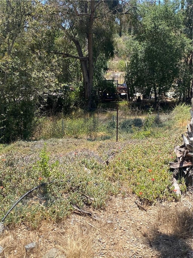 466 Stewart Canyon Rd, Fallbrook, CA 92028 - view of yard