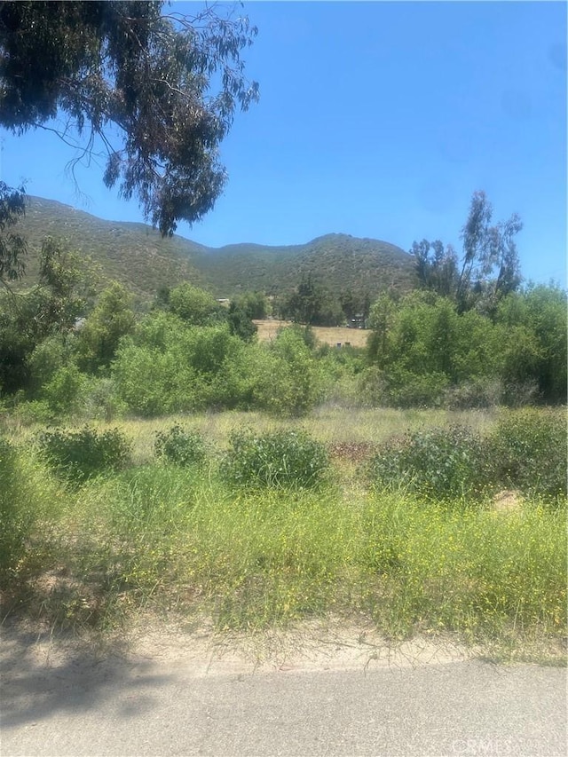 466 Stewart Canyon Rd, Fallbrook, CA 92028 - view of mountain backdrop