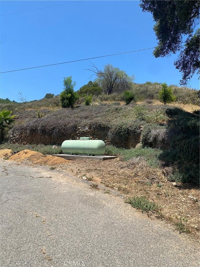 466 Stewart Canyon Rd, Fallbrook, CA 92028 - view of yard