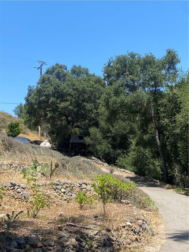 466 Stewart Canyon Rd, Fallbrook, CA 92028 - view of nature