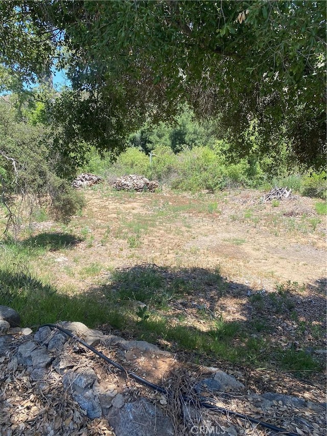 466 Stewart Canyon Rd, Fallbrook, CA 92028 - view of local wilderness