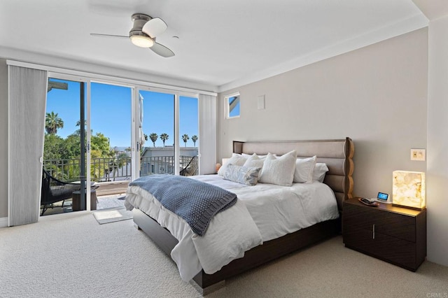 834 S Cedros, Solana Beach, CA 92075 - bedroom featuring access to outside, multiple windows, and light carpet