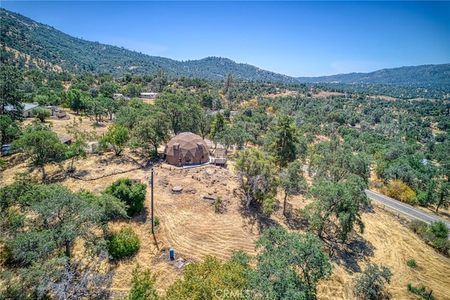 28944 Tollhouse Rd, Tollhouse, CA 93667 - photo 41