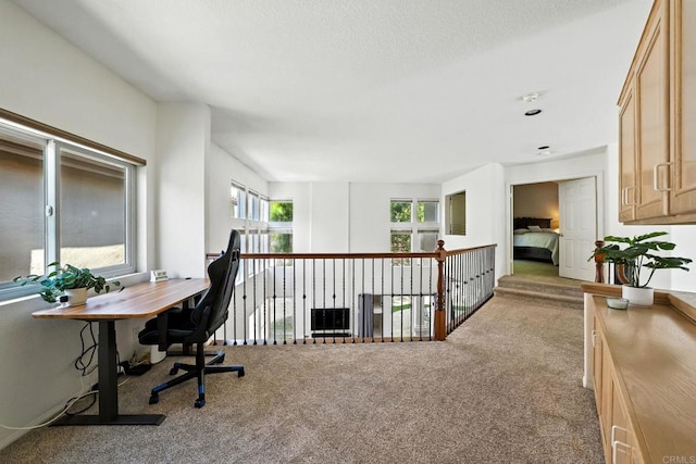 18103 Smokesignal Dr, San Diego, CA 92127 - view of carpeted office