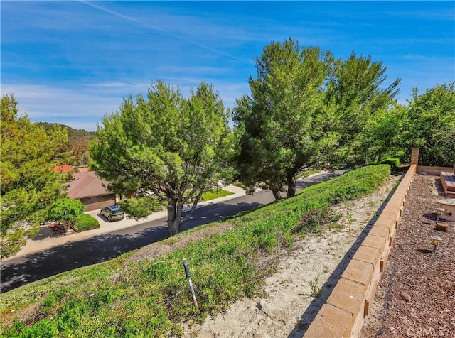 22182 Platino, Mission Viejo, CA 92691 - view of yard