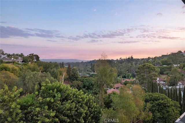 10255 Overhill Dr, Santa Ana, CA 92705 - mountain view featuring a forest