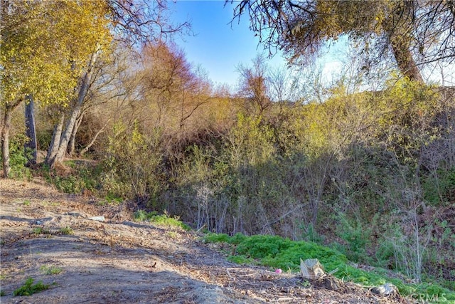 2166 Lopez Dr, Arroyo Grande, CA 93420 - view of tree filled area