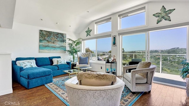 24965 Seagate, Dana Point, CA 92629 - living area featuring plenty of natural light, wood finished floors, and vaulted ceiling