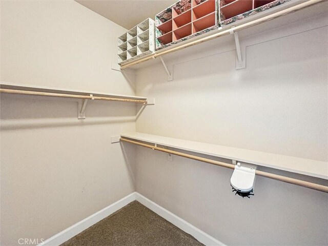 1432 Blackberry Ave, Arroyo Grande, CA 93420 - walk in closet with dark carpet