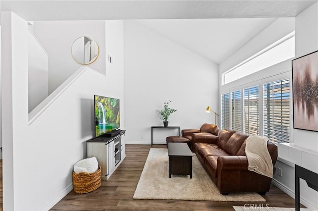 710 S Tourmaline Ct, Anaheim Hills, CA 92807 - living room featuring wood finished floors and high vaulted ceiling
