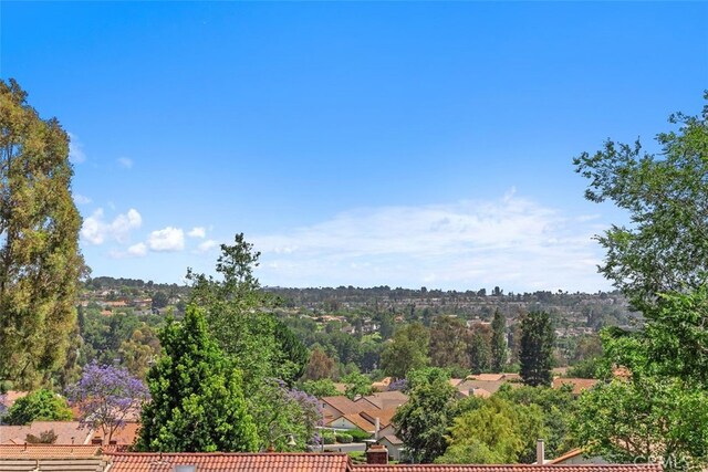27992 Via Chocano, Mission Viejo, CA 92692 - photo 42