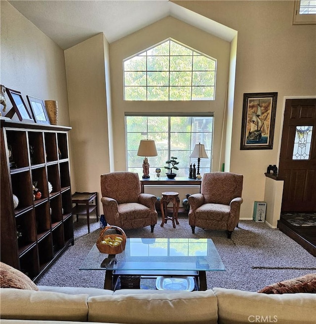 10771 Orchard View Ln, Riverside, CA 92503 - living room with carpet floors and lofted ceiling