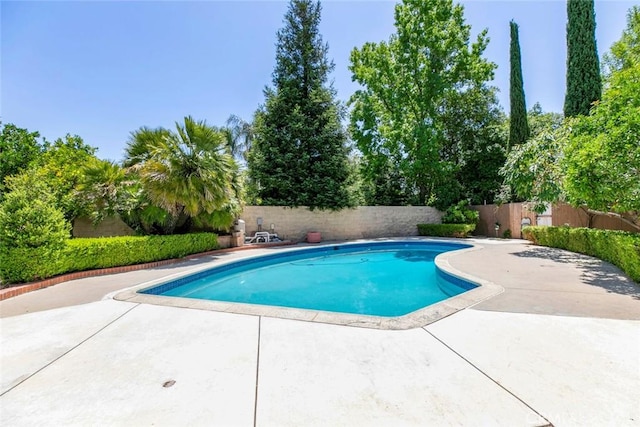17800 Raymer St, Sherwood Forest, CA 91325 - view of pool featuring a patio area and a fenced backyard