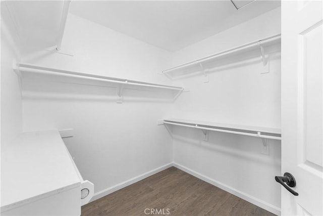 37921 Tackstem St, Palmdale, CA 93552 - walk in closet with wood finished floors