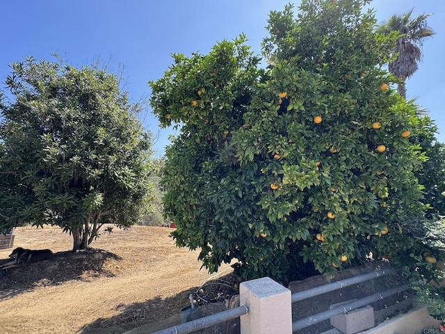 2605 Kauana Loa Dr, Escondido, CA 92029 - view of yard