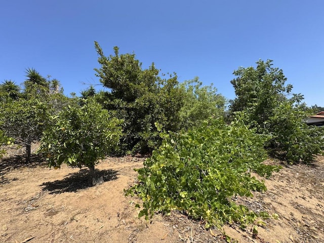 2605 Kauana Loa Dr, Escondido, CA 92029 - view of local wilderness
