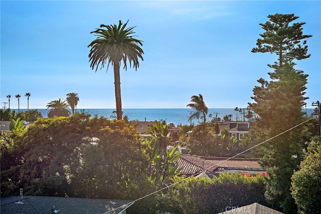 214 W Mariposa Unit B, San Clemente, CA 92672 - water view