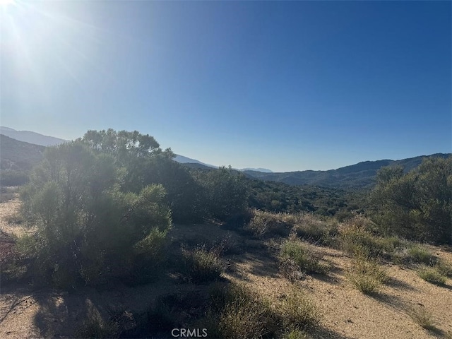 44456 Broken Wheel, Anza, CA 92539 - photo 6