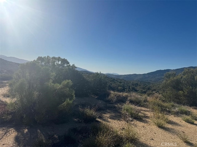 44456 Broken Wheel, Anza, CA 92539 - photo 13