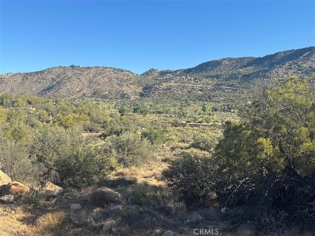 44456 Broken Wheel, Anza, CA 92539 - photo 11