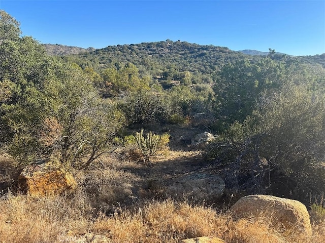 44456 Broken Wheel, Anza, CA 92539 - photo 15