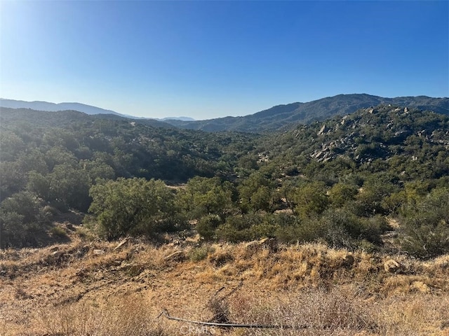 44456 Broken Wheel, Anza, CA 92539 - photo 17