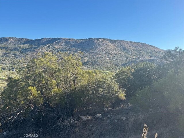 44456 Broken Wheel, Anza, CA 92539 - photo 9