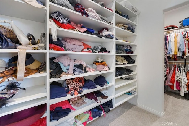 3 Heatherwood, Irvine, CA 92620 - spacious closet with carpet flooring