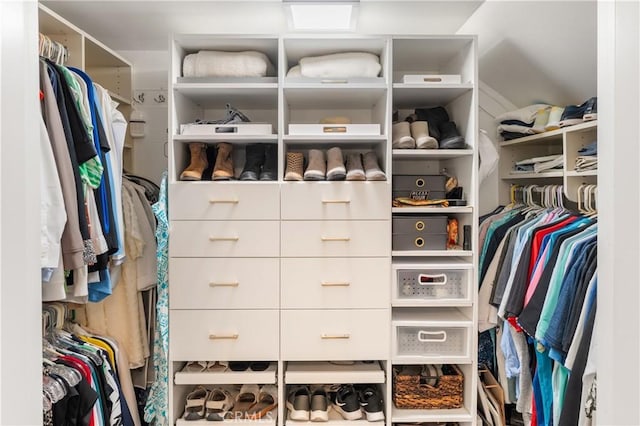 2172 N Pami Cir, Orange, CA 92867 - view of spacious closet