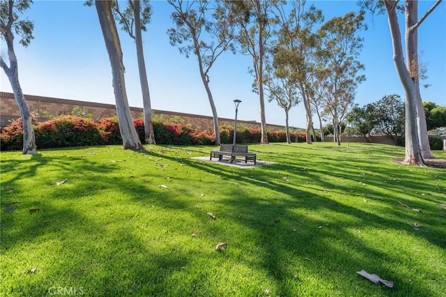 2172 N Pami Cir, Orange, CA 92867 - view of green lawn