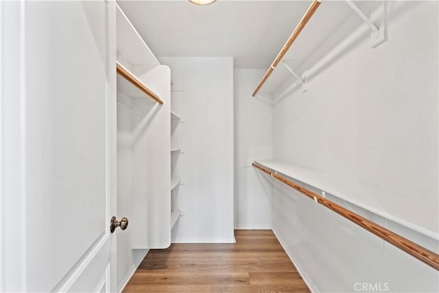 3919 W 242nd St Unit A, Torrance, CA 90505 - walk in closet with light wood-type flooring