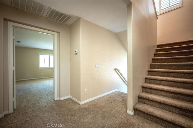 25217 Pacific Crest St, Corona, CA 92883 - staircase with carpet floors