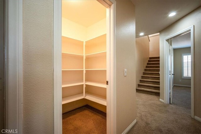 25217 Pacific Crest St, Corona, CA 92883 - view of storage area