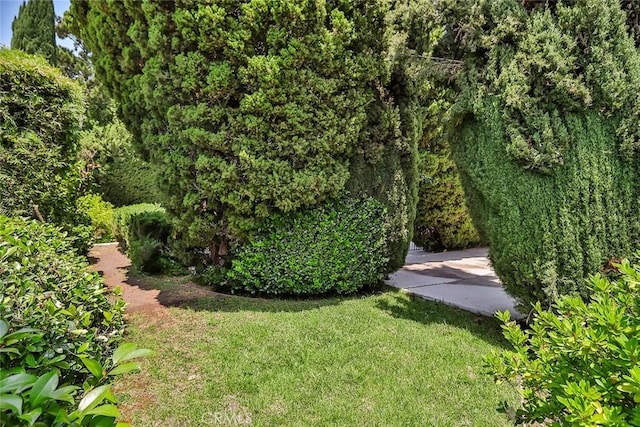 17313 Citronia St, Northridge, CA 91325 - view of green lawn